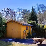 Im Waeldchen In Naehe