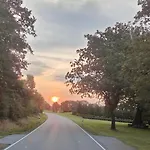 Im Waeldchen In Naehe Tatil Evi