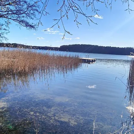 Im Waeldchen In Naehe