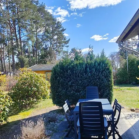 Im Waeldchen In Naehe