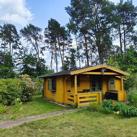 Im Waeldchen In Naehe *