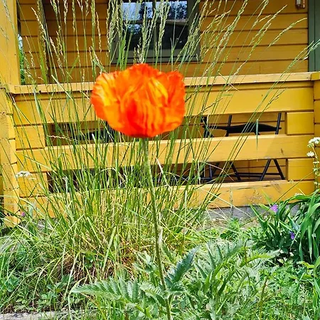 Im Waeldchen In Naehe Casa de Férias