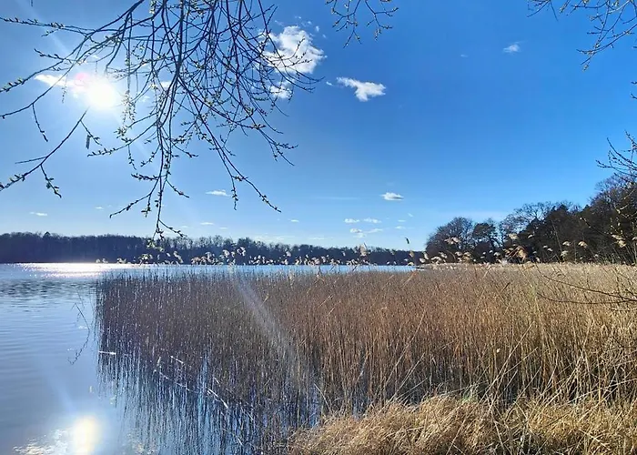 Im Waeldchen In Naehe Nyaraló Templin