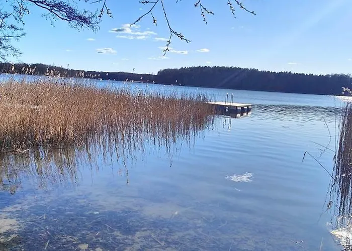 Im Waeldchen In Naehe