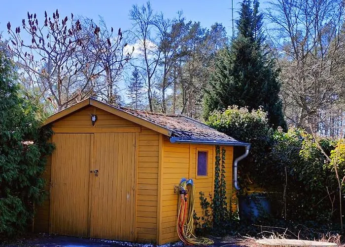 Im Waeldchen In Naehe