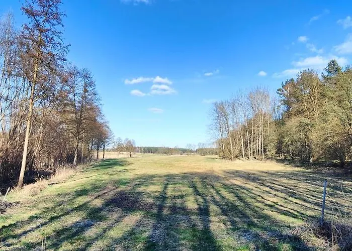 Im Waeldchen In Naehe * Templin