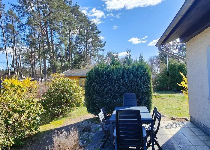 Im Waeldchen In Naehe