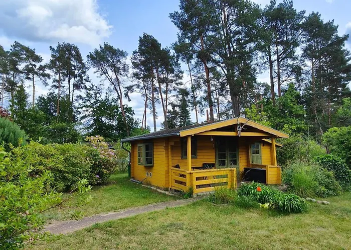 Im Waeldchen In Naehe *