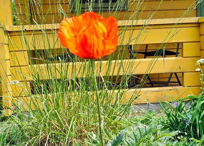 Im Waeldchen In Naehe Casa de Férias