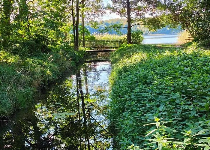 Im Waeldchen In Naehe * Templin