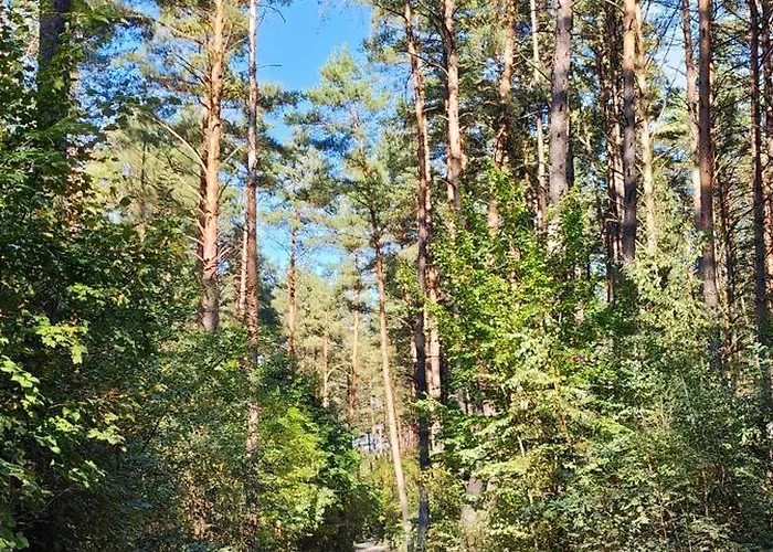 Im Waeldchen In Naehe * Templin